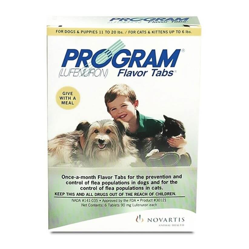 Program medicine for pet