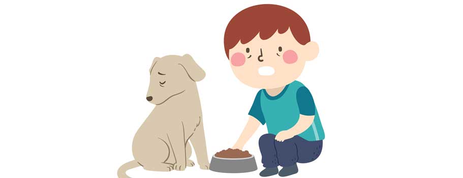 Information on the Best Anemia for Dogs Treatment Information on the Best Anemia for Dogs Treatment