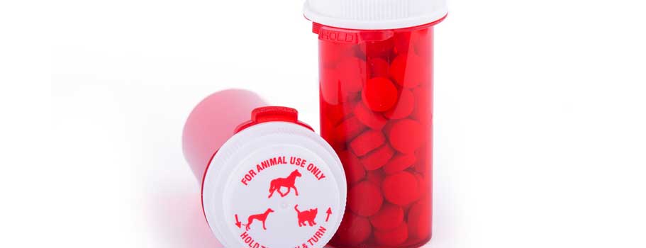 Are Online Pet Pharmacies Safe?