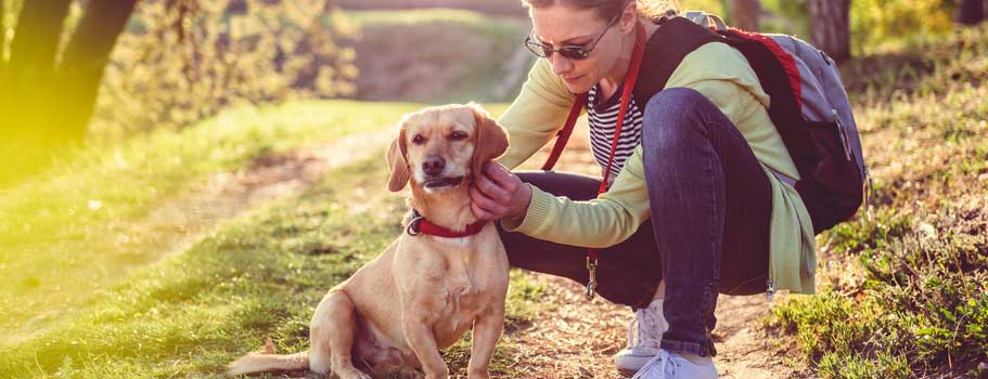 Any Best Flea Medicine for Outside Dogs? Any Best Flea Medicine for Outside Dogs?