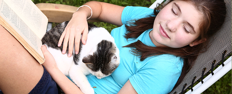how long after deworming cat the worms gone how long after deworming cat the worms gone