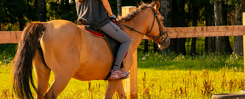 Zimecterin Paste Horse Dewormer