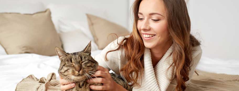 Revolution Plus for Cats without Vet Prescription