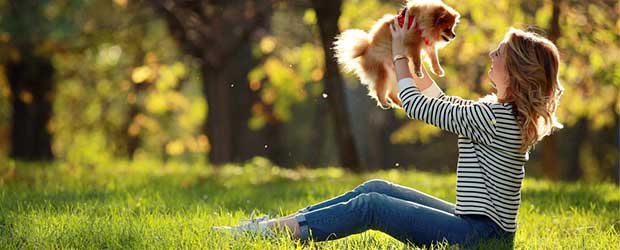 Buying Sentinel Spectrum without vet prescription Buying Sentinel Spectrum without vet prescription