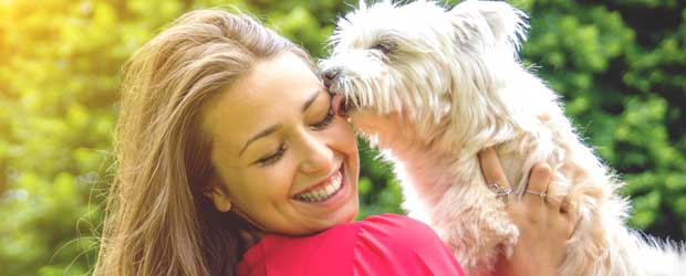 Messy Affection - What Does it Mean When a Dog Licks You?
