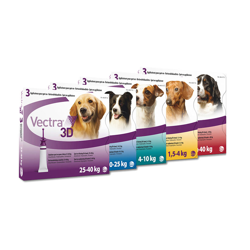 Vectra 3d For dogs
