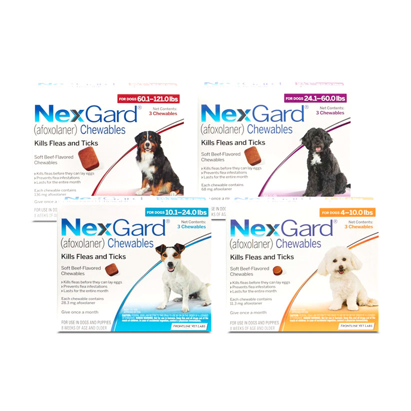 Nexgard spectra for dogs