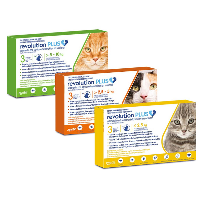 Buy Revolution Plus Online World Pet Express