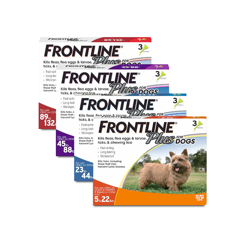 Frontline Plus for Dogs