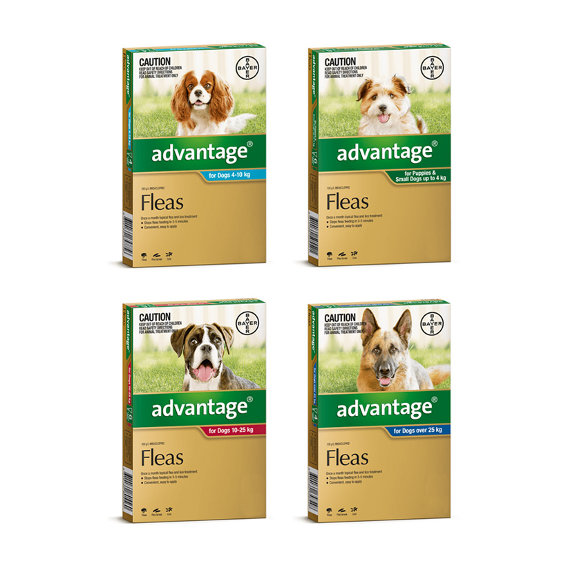 flea medicine online