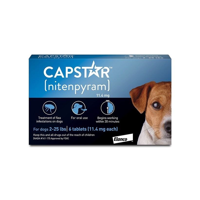 Capstar flea and tick medicine