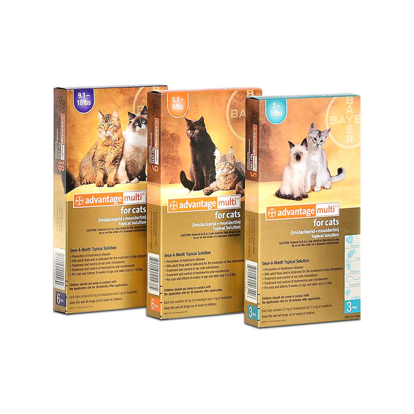 buy-advantage-multi-for-cats-online-world-pet-express