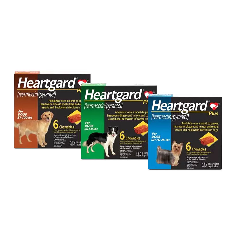 Heartgard Plus